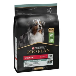 Best Online|Pet Store Dubai