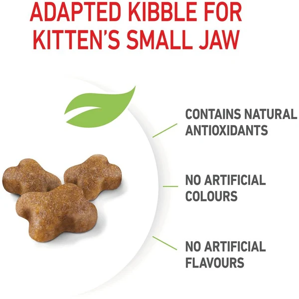 Royal Canin Kitten Dry Food - Image 2