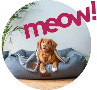 Best Online|Pet Store Dubai