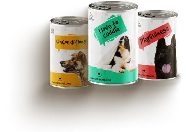 Best Online|Pet Store Dubai