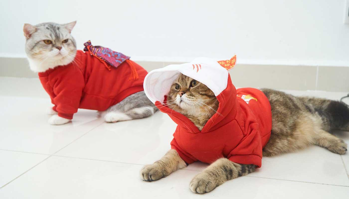 Best Online|Pet Store Dubai