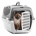 Best Online|Pet Store Dubai
