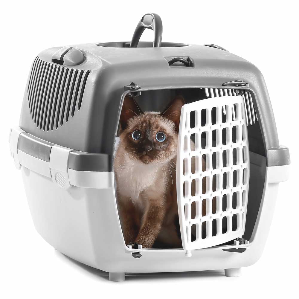 Best Online|Pet Store Dubai