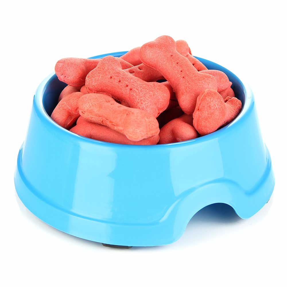 Best Online|Pet Store Dubai